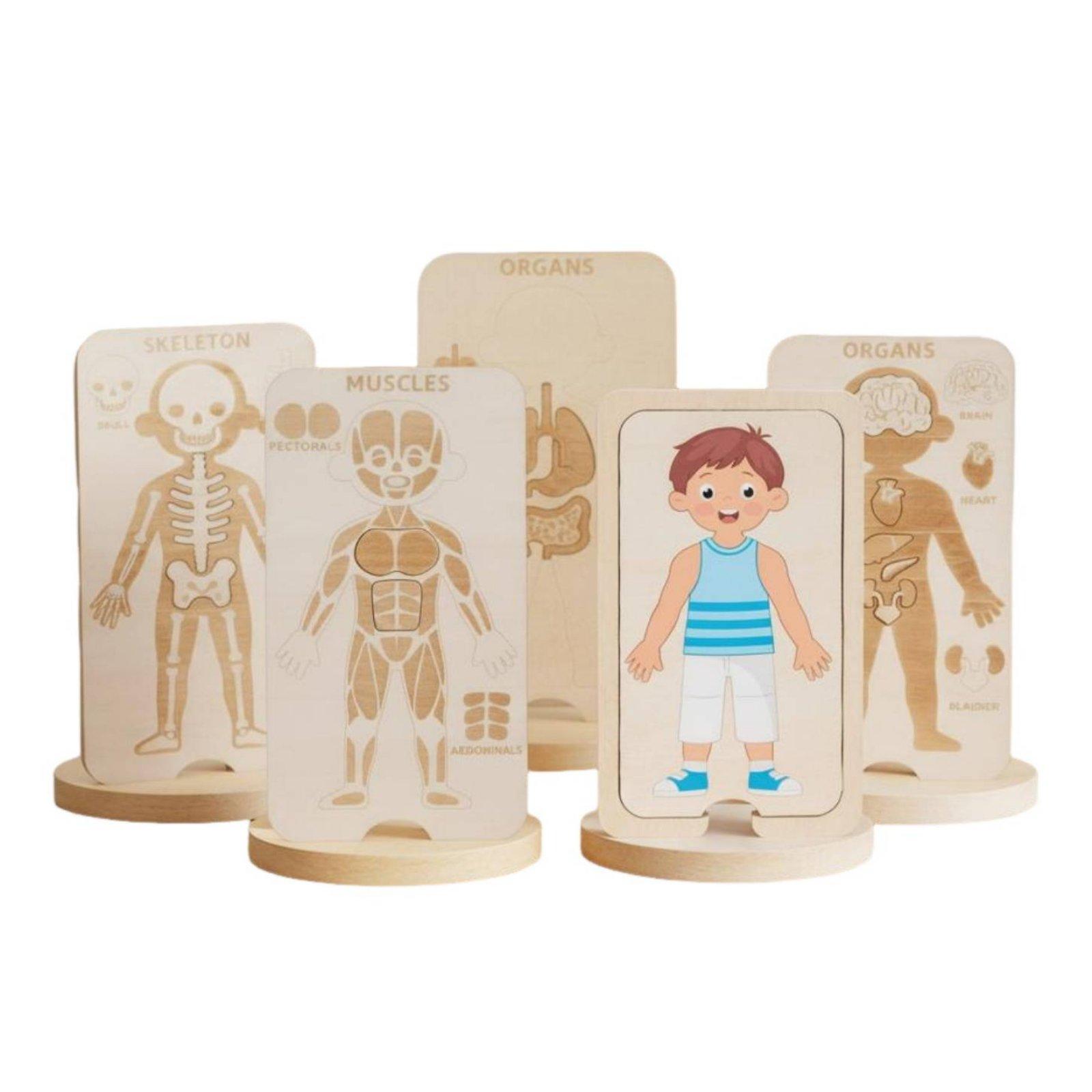 Human Body Puzzle - Rompecabezas Educativo de Madera del Cuerpo